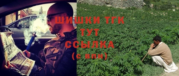 меф Арсеньев
