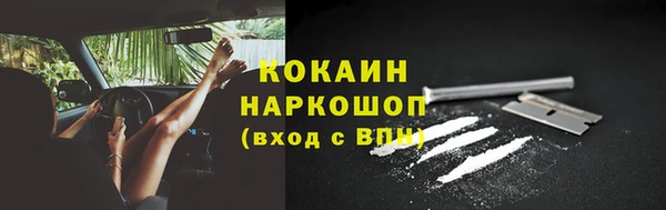 кокс Алексин