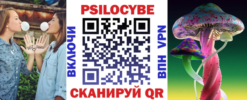 Псилоцибиновые грибы Psilocybe  Полесск 
