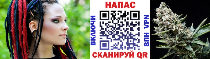 Канабис планчик  где можно купить   это какой сайт  Полесск 